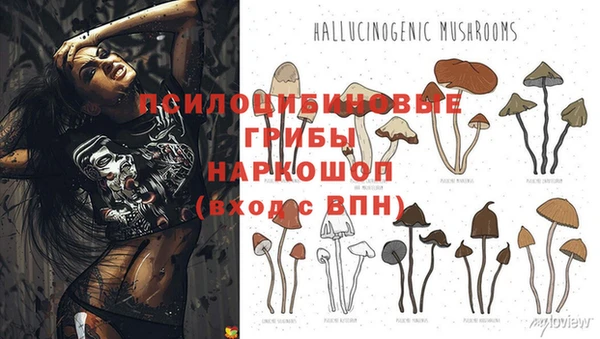 стаф Алексеевка