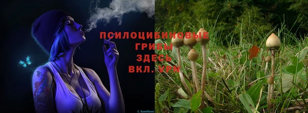 ALPHA-PVP Алзамай