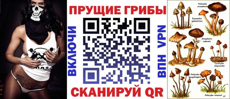 Псилоцибиновые грибы MAGIC MUSHROOMS  Любим 